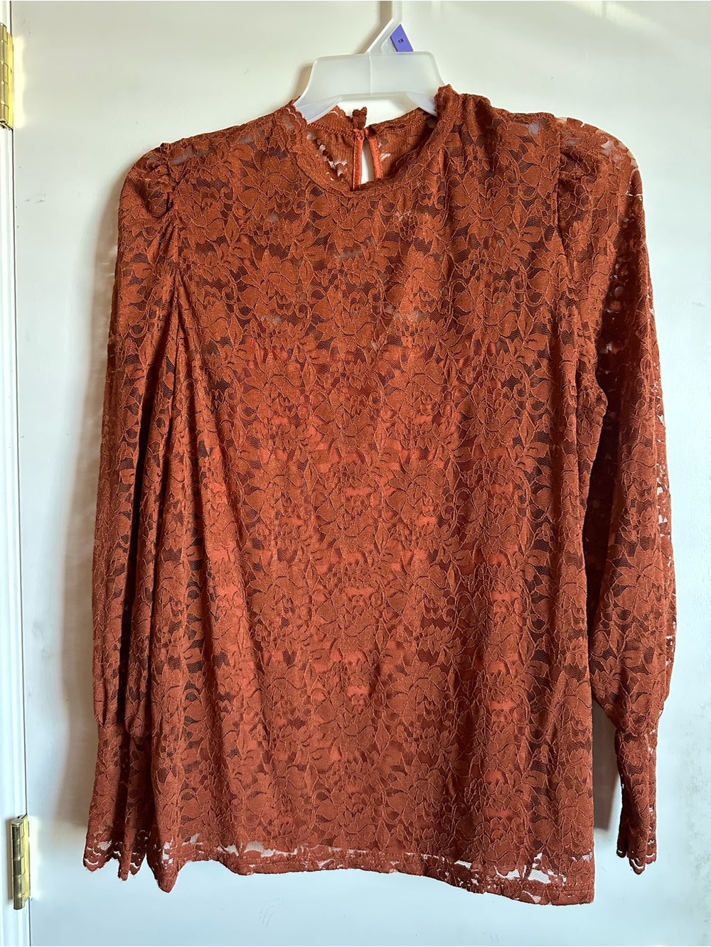 Rust Lace Long-Sleeve Women's Top
